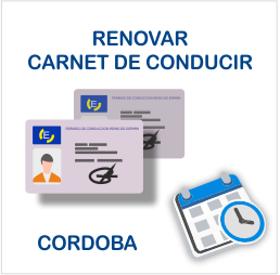 renovar carnet conducir CORDOBA